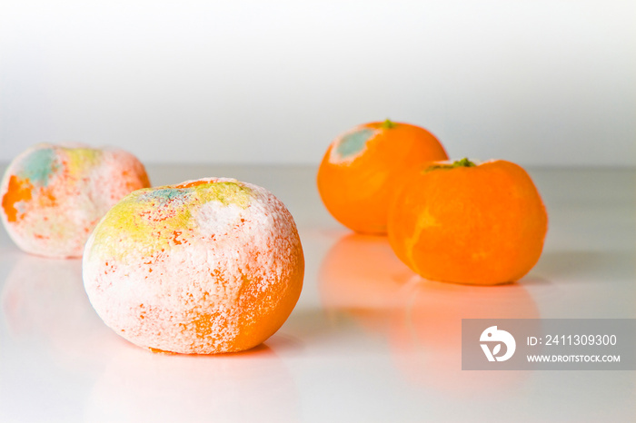 A moldy orange isolated on a white background