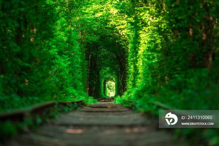 a railway in the spring forest tunnel of love