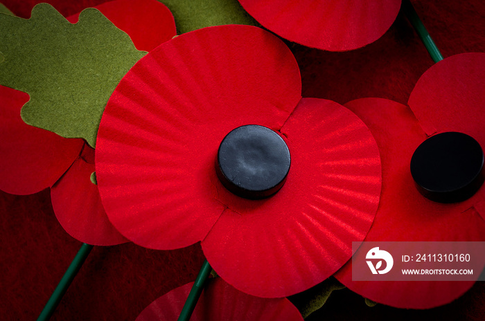 Remembrance day in the UK and salute to veterans of the armed forces concept with a close up on a group of Remembrance poppies and one poppy in the center of the image