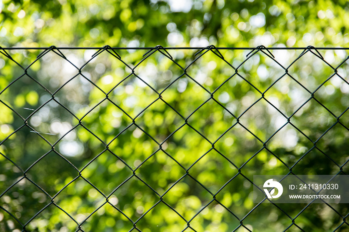 Close up of green garden fencing. Green Plastic Coated Wire Fencing. PVC coated wire mesh.