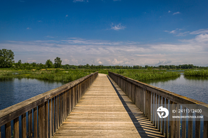 Passerelle dans Le Grand Parc de Miribel Jonage