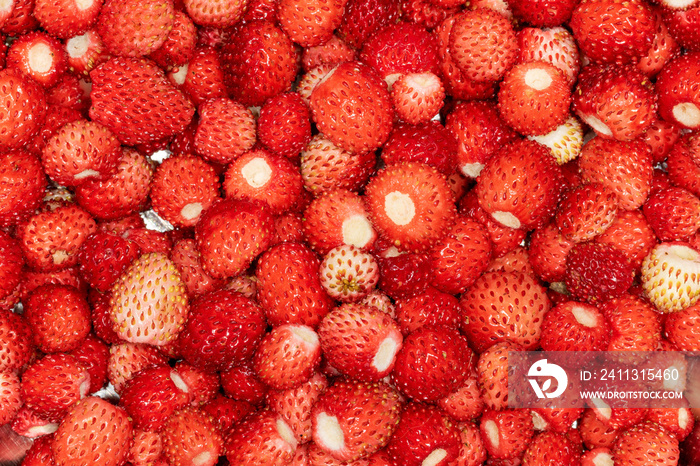 The fruit of Fragaria vesca, commonly called wild strawberry or woodland strawberry