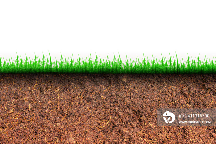 Abstract image of Cross section brown soil and green grass in underground.