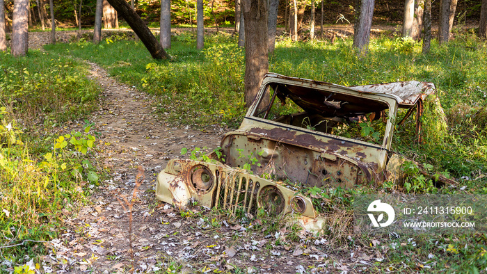 wooded landscape with an abandoned car half burried