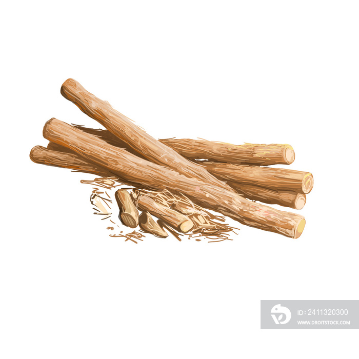 Liquorice root isolated dried sticks isolated digital art illustration. Licorice Glycyrrhiza glabra, sweet root, aromatic flavouring can be extracted. Herb with adverse effect, medical remedy plant.