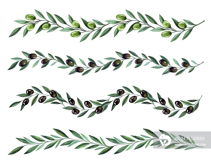 Watercolor illustration with olive branches and berries borders. Floral illustration for wedding stationary, greetings, wallpapers, fashion and invitations.