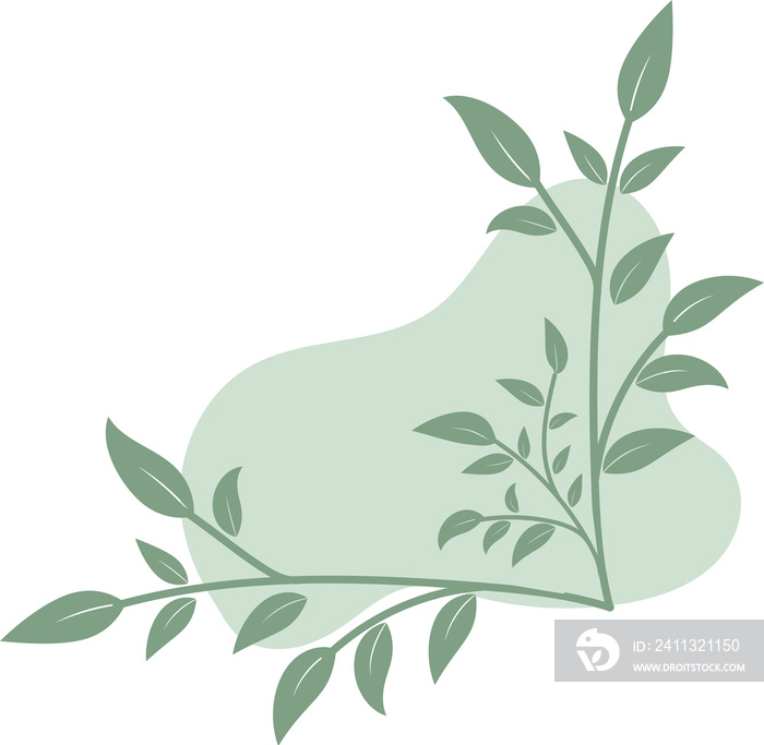 Floral corner shapes, Leaves border  illustration