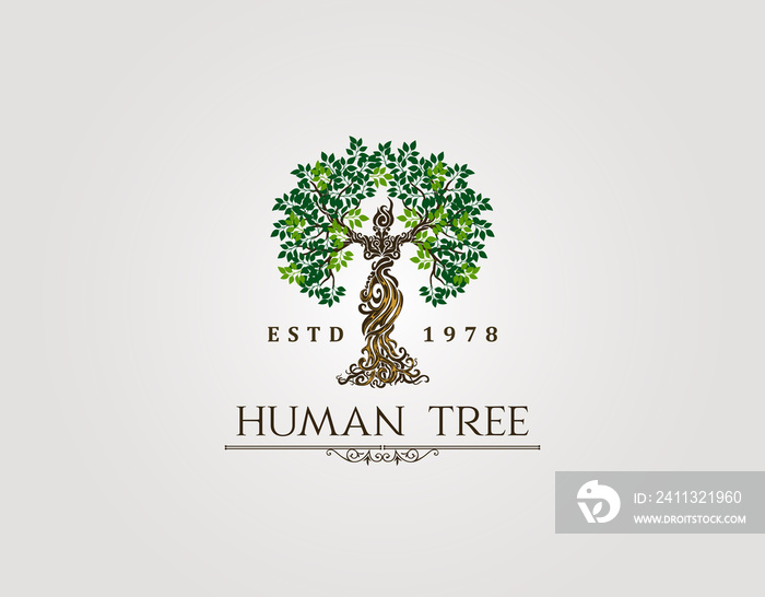 Abstract Human tree logo. Unique Tree Vector illustration with circle and abstract woman shape.