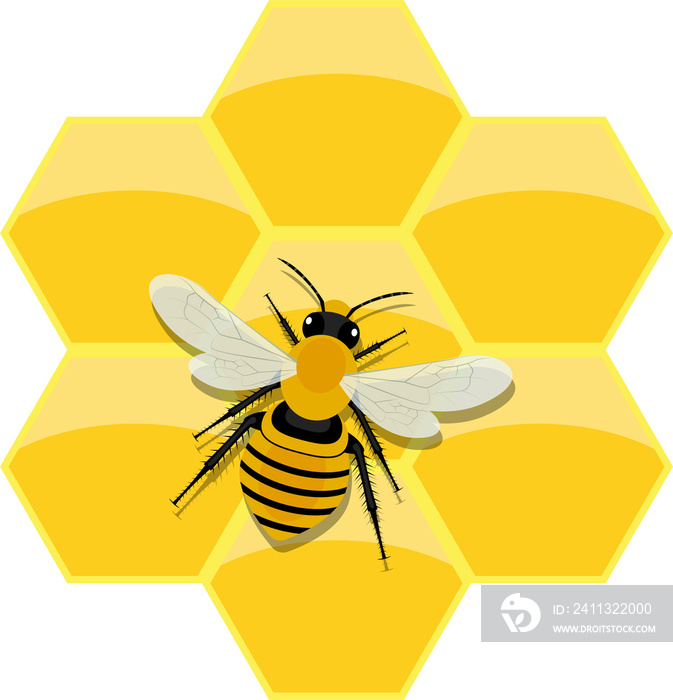 Honeycomb clipart design illustration