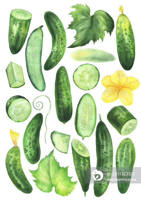 Cucumber set