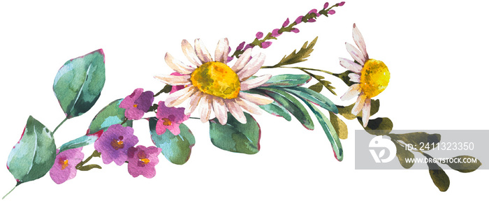 Watercolor wildflowers transparent PNG