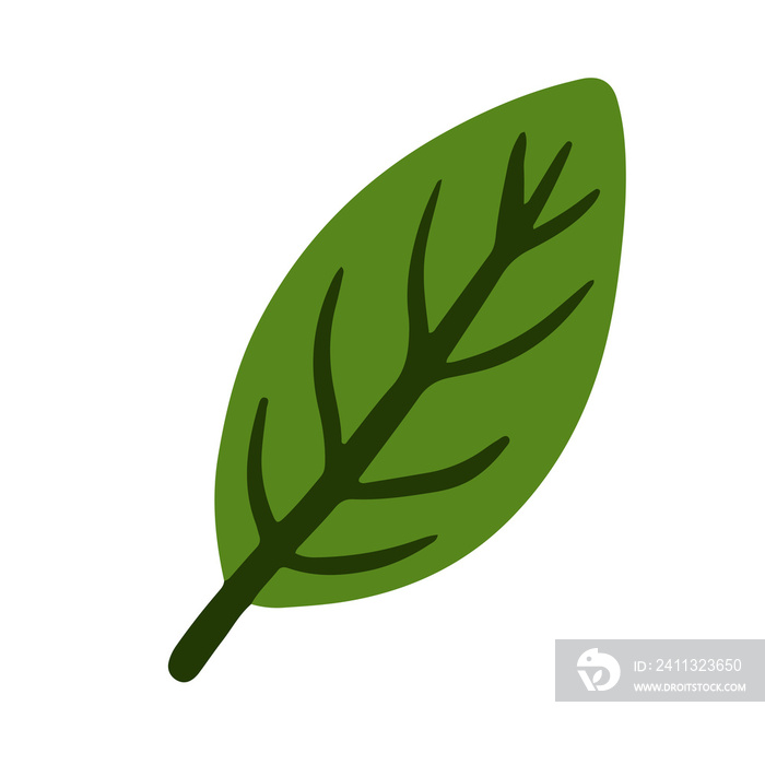 Trendy leaf illustration in minimalist style for natural design element