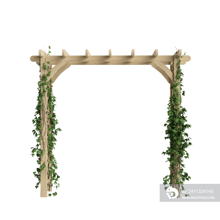 3d  of wooden arched ivy isolated on transparent background