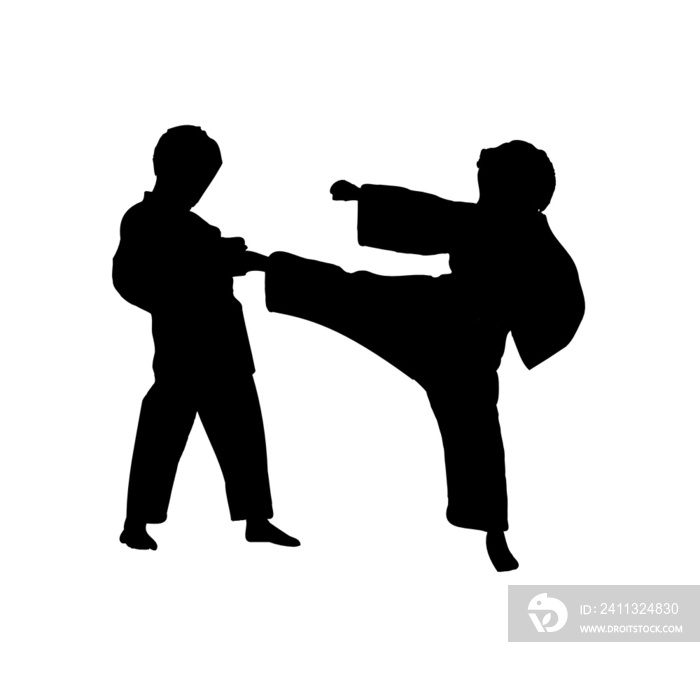 silhouette of a martial arts move with a transparent background