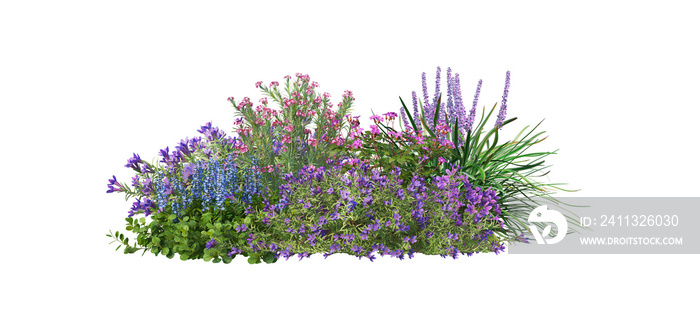 A garden decorated with flowers and small grass on a transparent background.