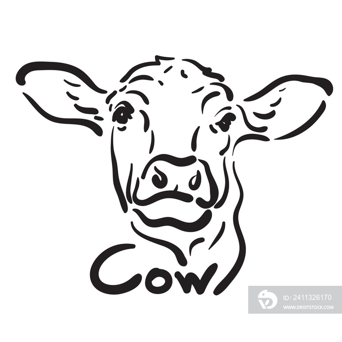 Hand drawn cow design isolated on transparent background. Farm Animals.