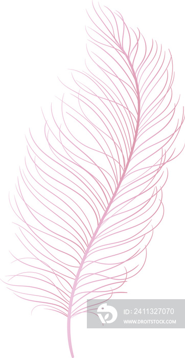 feather hand drawn