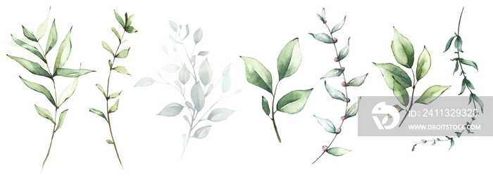 Watercolor greenery set of light green, turquoise, virid wild leaves, twigs and branches. Spring tender illustration.