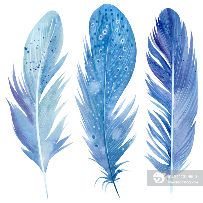 Set of blue feathers on white isolated background, watercolor illustration