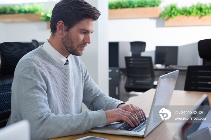 Male executive working on his laptop