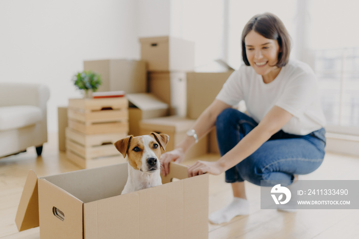 Happy young female house owner poses near cartboard box with favourite pet, have fun during day of relocation, poses in living room with stacks of carton containers with personal belongings.