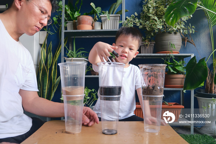 Parent sitting homeschooling with little kid, Father and son having fun making easy science soil experiment at home, Kid-friendly easy science experiments at home concept