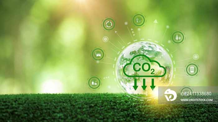 Developing sustainable CO2 concepts and Reduce CO2 emissions and carbon footprint to limit global warming and climate change. sustainable environmental management, Greenhouse from renewable energy