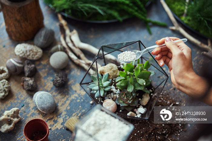 Floral designer decorating a polyhedron florarium with decorative stones