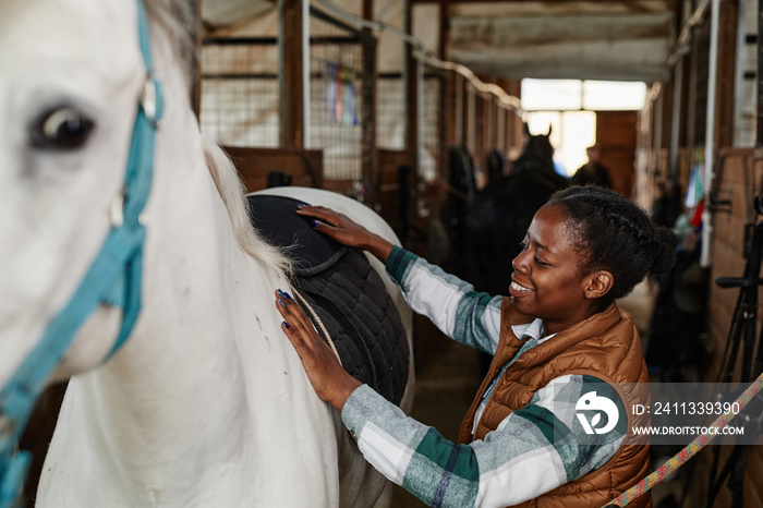 Side view portrait of young African American woman grooming white horse in stables and smiling happily