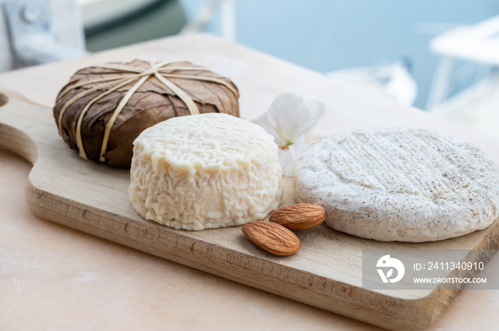 Taste of France, small round cheese Tome de Provence, matured small goat cheese and mountains cheese banon wrapped in chestnut leaves, Alpes-de-Haute-Provence, France