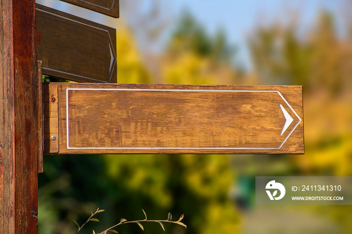 wooden signpost in the forest area for copy space