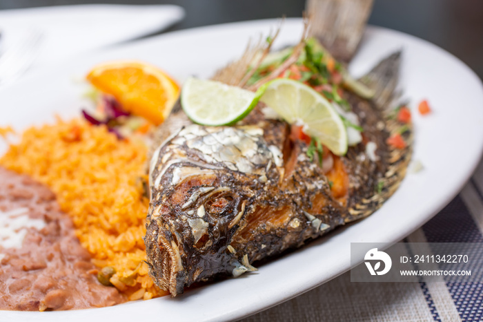 A view of a plate of deep fried tilapia, in a restaurant or kitchen setting.