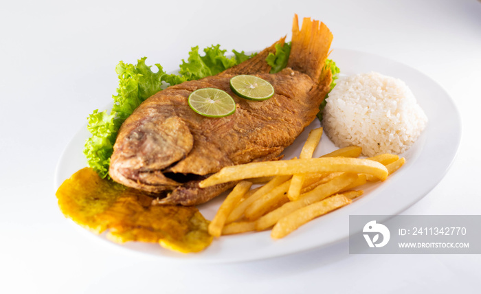 Fried mojarra colombian typical dish fish