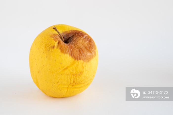 Yellow dry rotten apple against a whit background