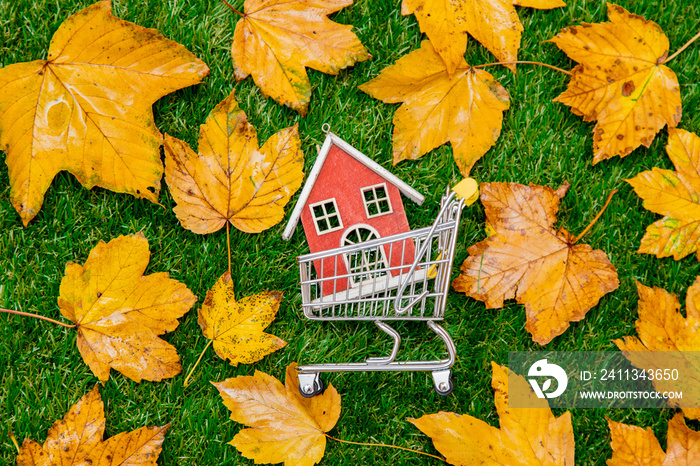 Golden autumn maple leaves and little wooden house inside cart on green grass. Above view