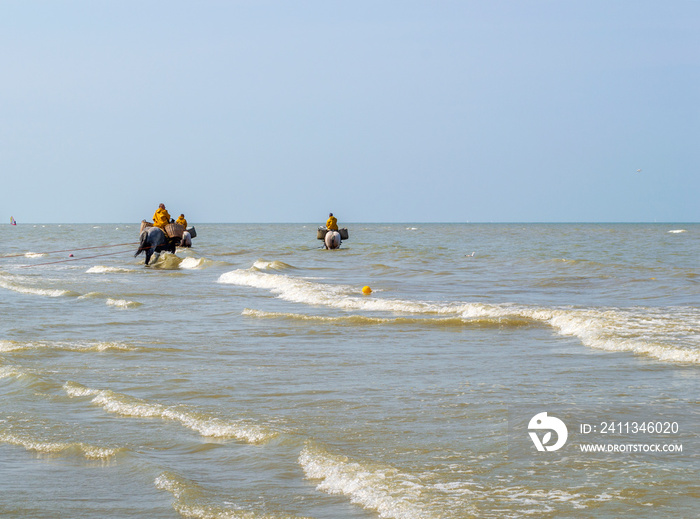 Paardenvissers, les pêcheurs de crevettes grises à cheval d’Oosduinkerke, Belgique