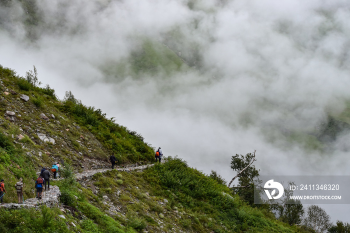 Hikers on tiny trail in green mountain valley covered in clouds on a misty and rainy morning.  Monsoon trek to Valley of Flowers National Park, Nanda devi biosphere reserve, Uttarakhand, India.