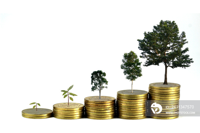 Gold coins pile stack and growing money and grow trees that grow up on white background, Saving money and ecology concept.