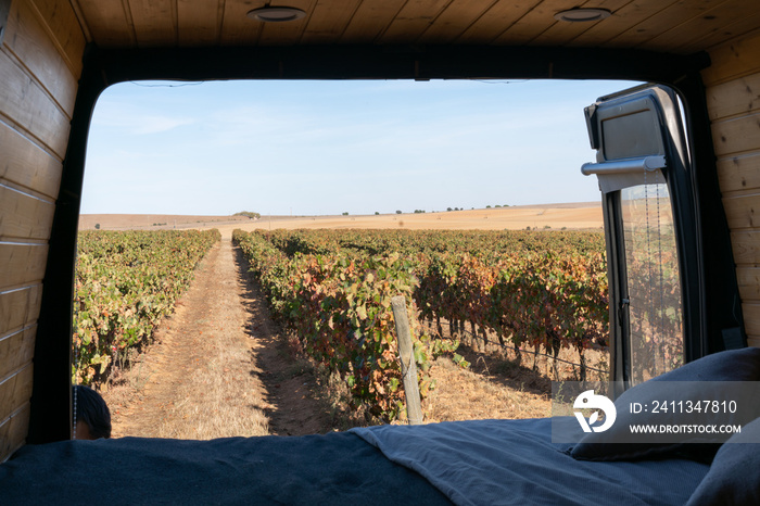 Vineyard view from inside a sel converted camper van living van life in Alentejo, Portugal