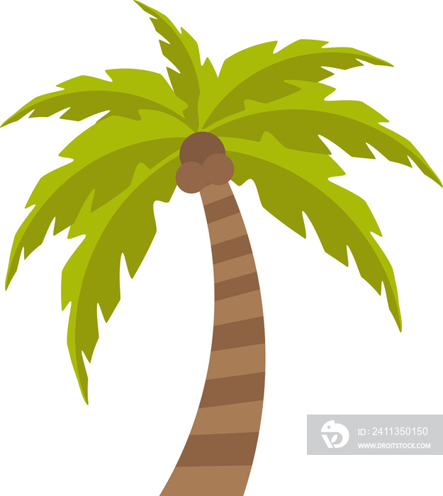 png cartoon palm tree isolated