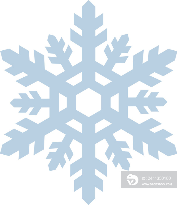 Snowflakes on transparent background.