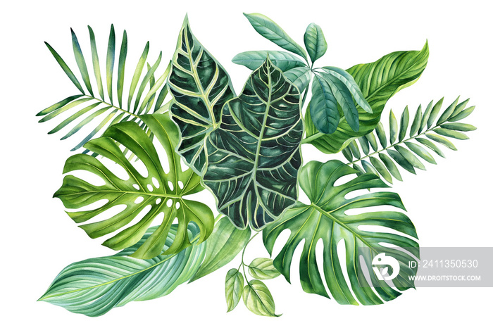 Palm leaves on isolated background, hand drawn watercolor painting. Green tropic composition, jungle design