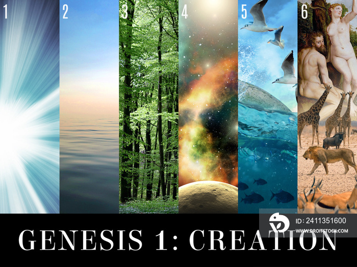 Genesis 1 Creation