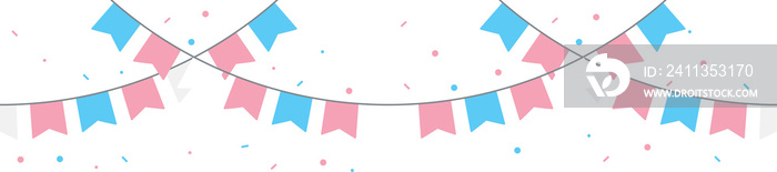 Transgender flag party buntings. LGBTQIA+ concept. Flat design .