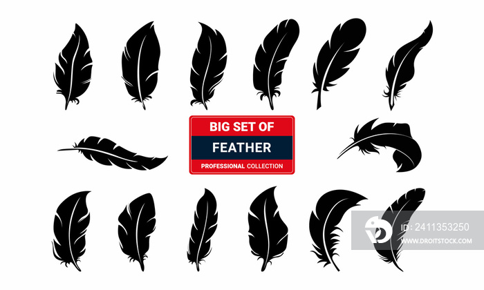 : Big set of feather silhouette