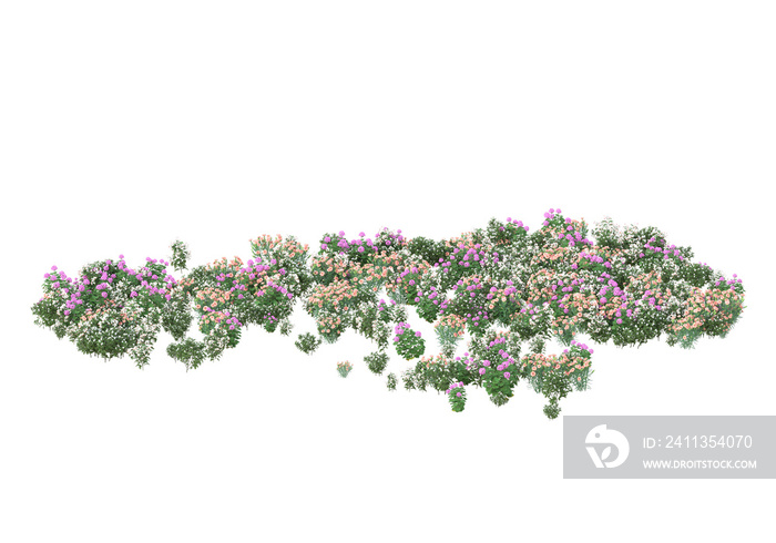 Field of plants isolated on transparent background. 3d rendering - illustration