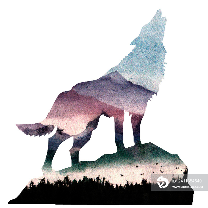 Silhouette of a wolf and forest. Double multiple exposure in watercolor painting.Wolf howls. Natural background, spruce, pine, bird, mountains and fog. Hand drawn animal portrait