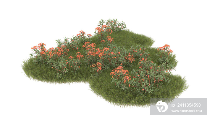 Field of grass with flowers on transparent background. 3d rendering - illustration