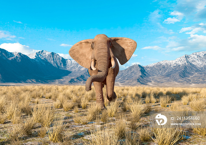 african elephant is coming fast in plains and mountains