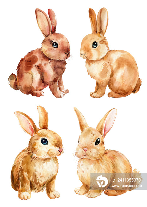 Set of cute animals. Cute rabbit, drawing bunny on isolated white background. Watercolor hand drawn illustration